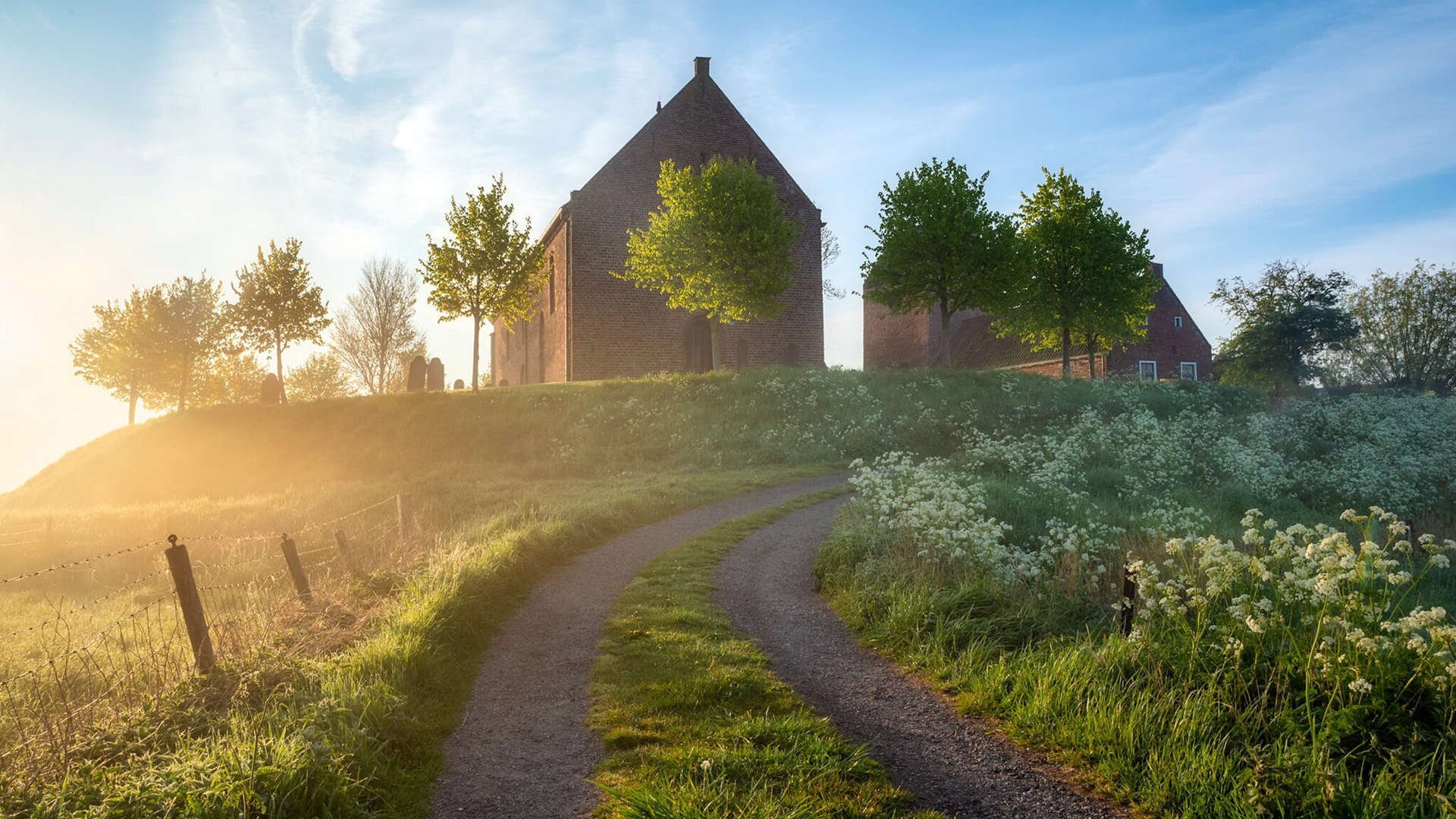 当日本队轻取德国,集体羽翼与个人火焰的体育诗篇