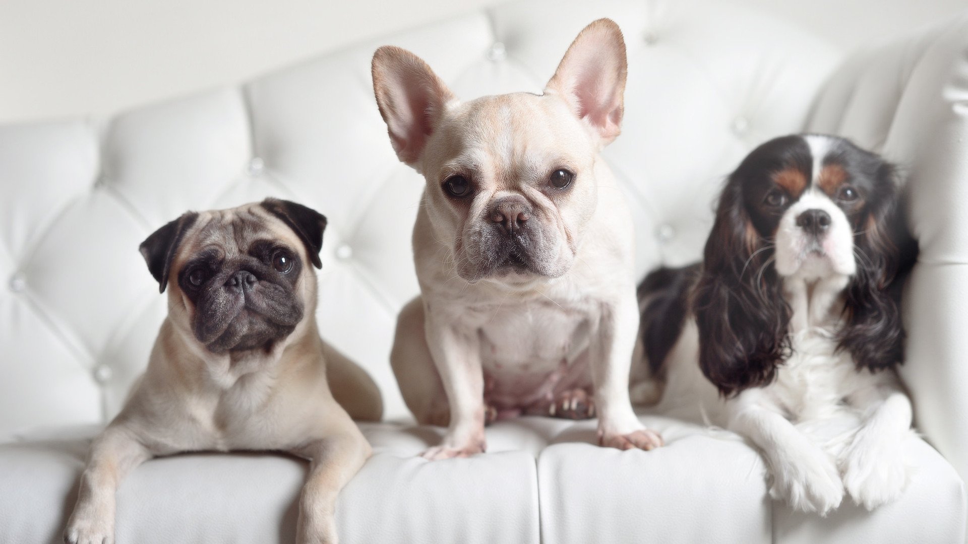 当梅赛德斯碾压红牛时，阿隆索悄然写下另一维度唯一的答案