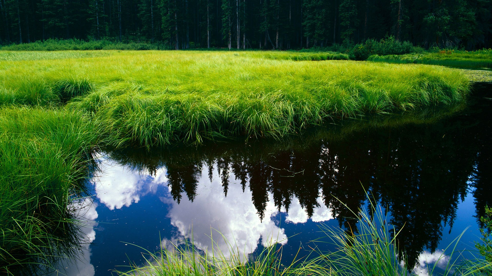 法国战术铁幕碾压,辛杜孤星难破夜
