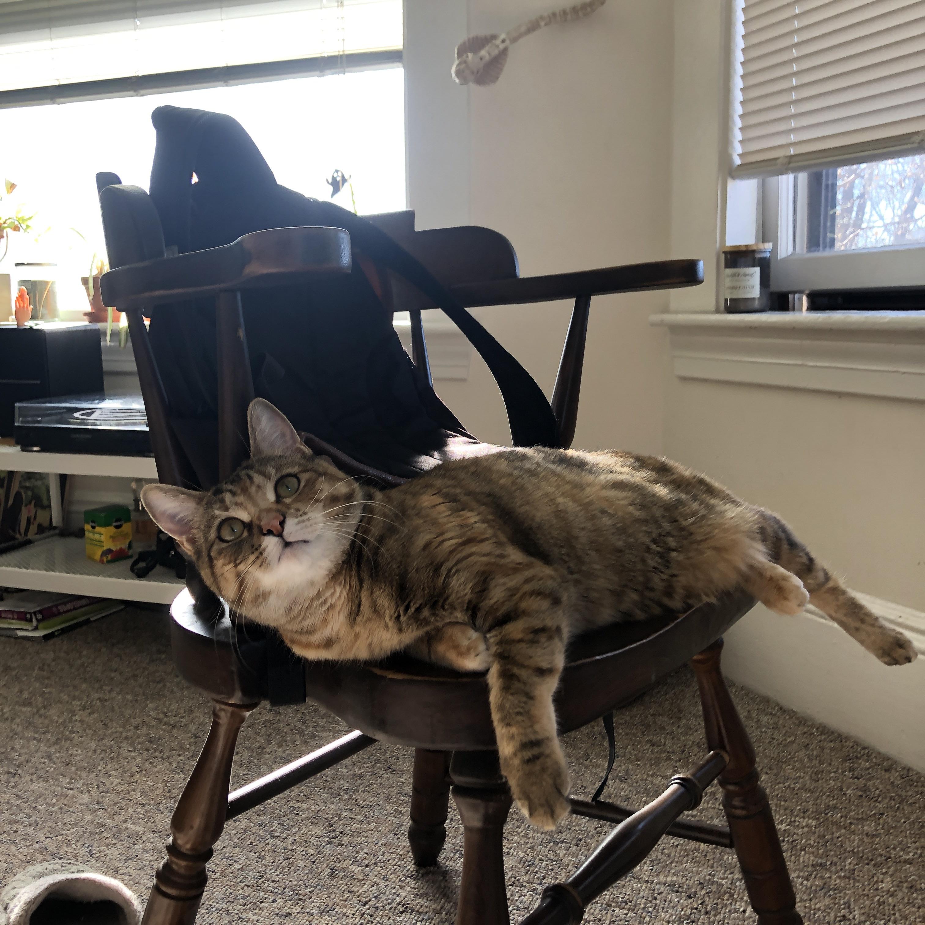 当东欧组合缺席,达拉斯升起新字母哥