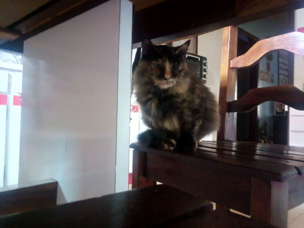 盐湖城生死五钟，无名小卒化身巨灵神—切特·霍姆格伦一记铁掌拍碎爵士逆转梦