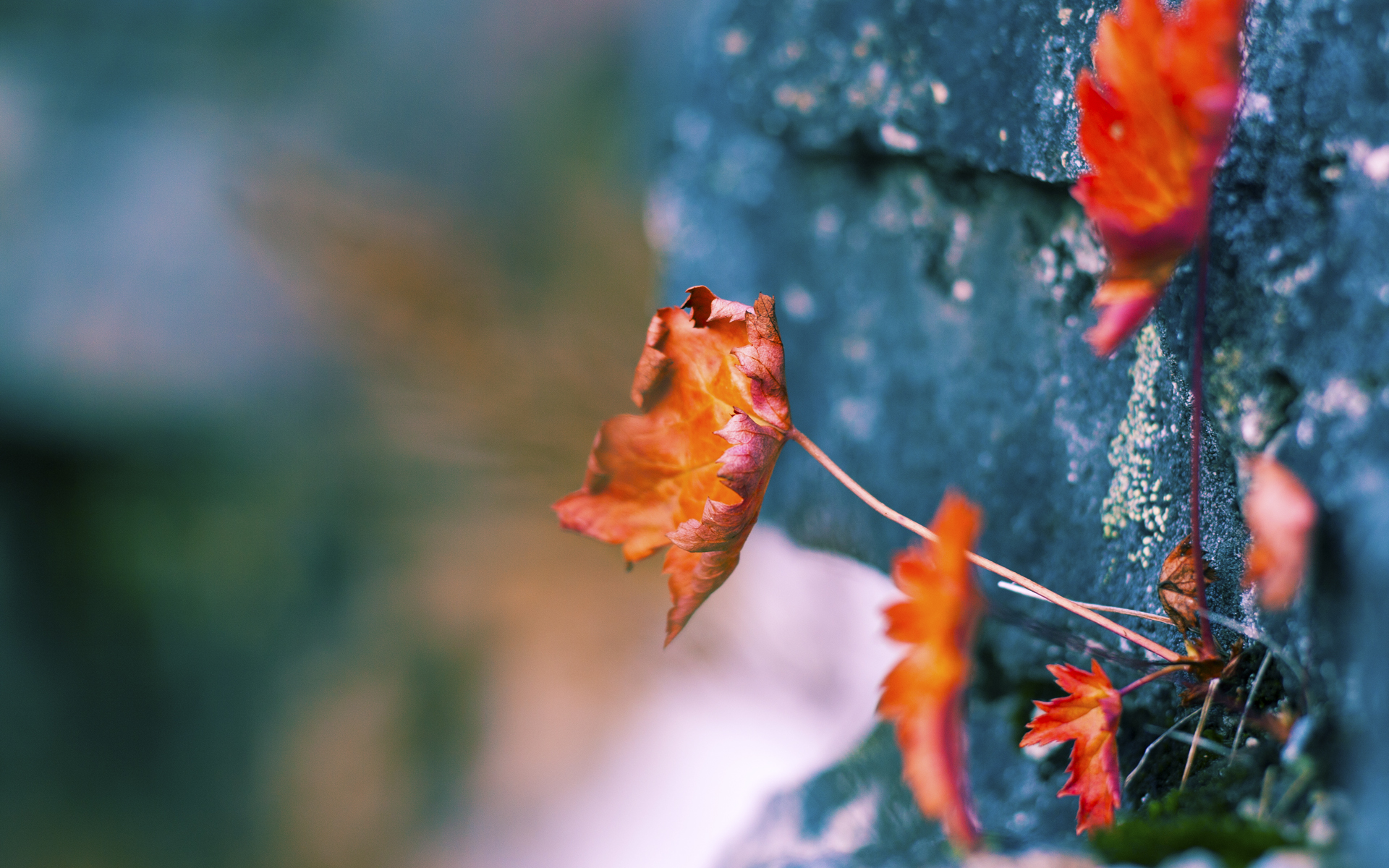 1.节奏大师的跨洋交响，英格拉姆如何用一场比赛定义带动