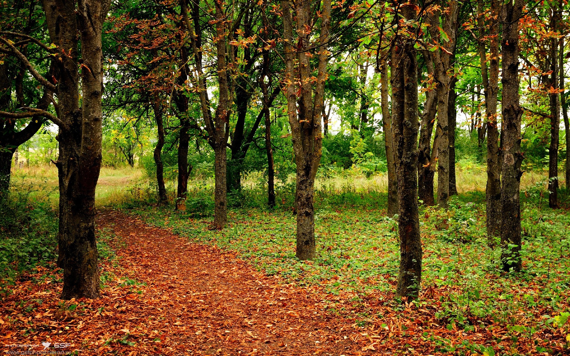 沙特斩落秘鲁，迪亚斯逆境中的辉煌时刻