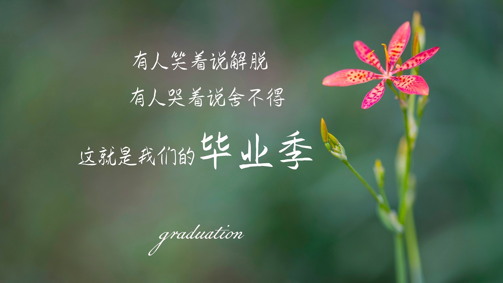 蓝色智慧吞噬天蓝防线,若日尼奥导演的战术完胜