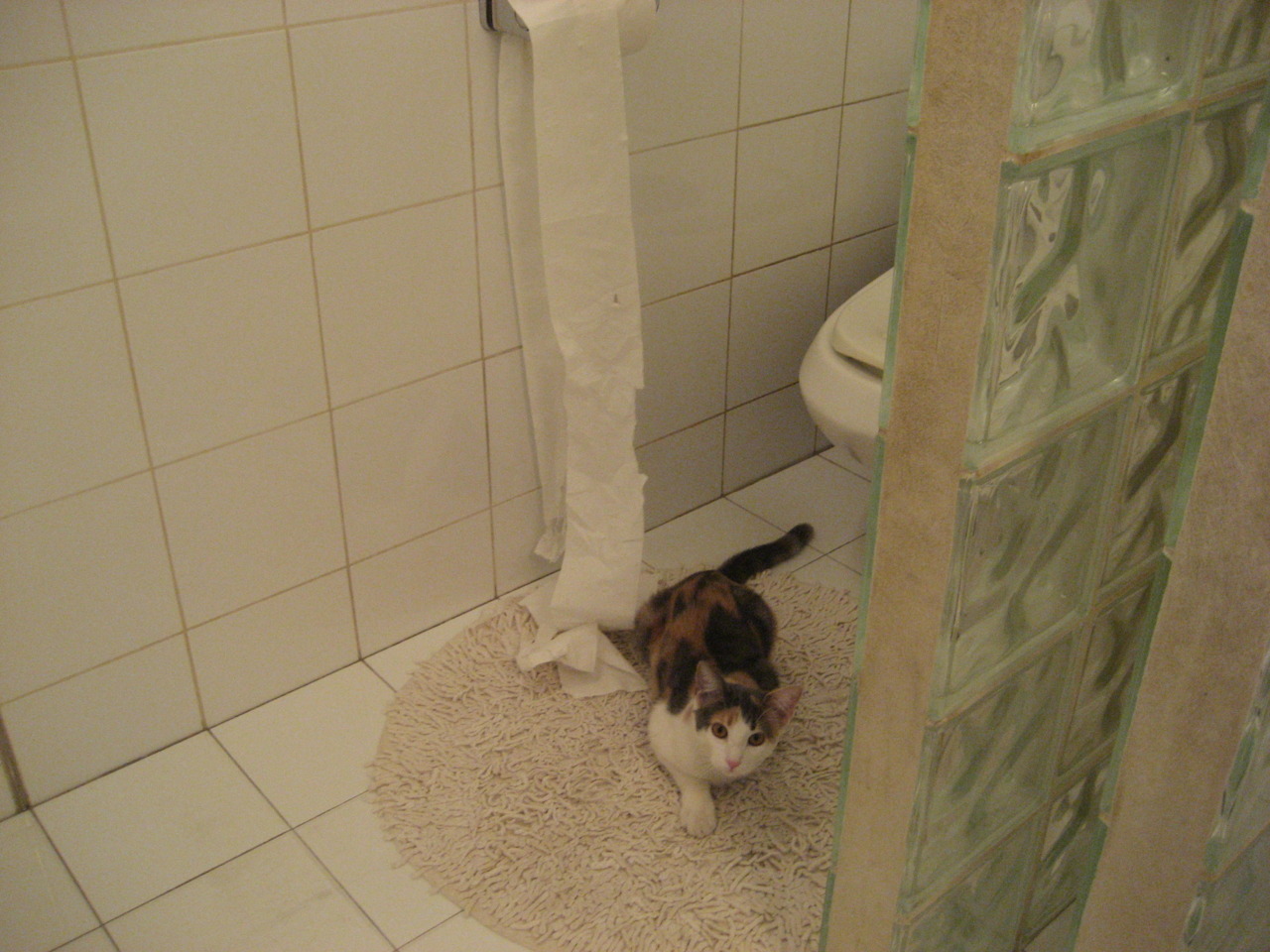 钢铁洪流碾碎雷鬼节拍，喀麦隆雄狮如何在焦点战中撕裂牙买加防线