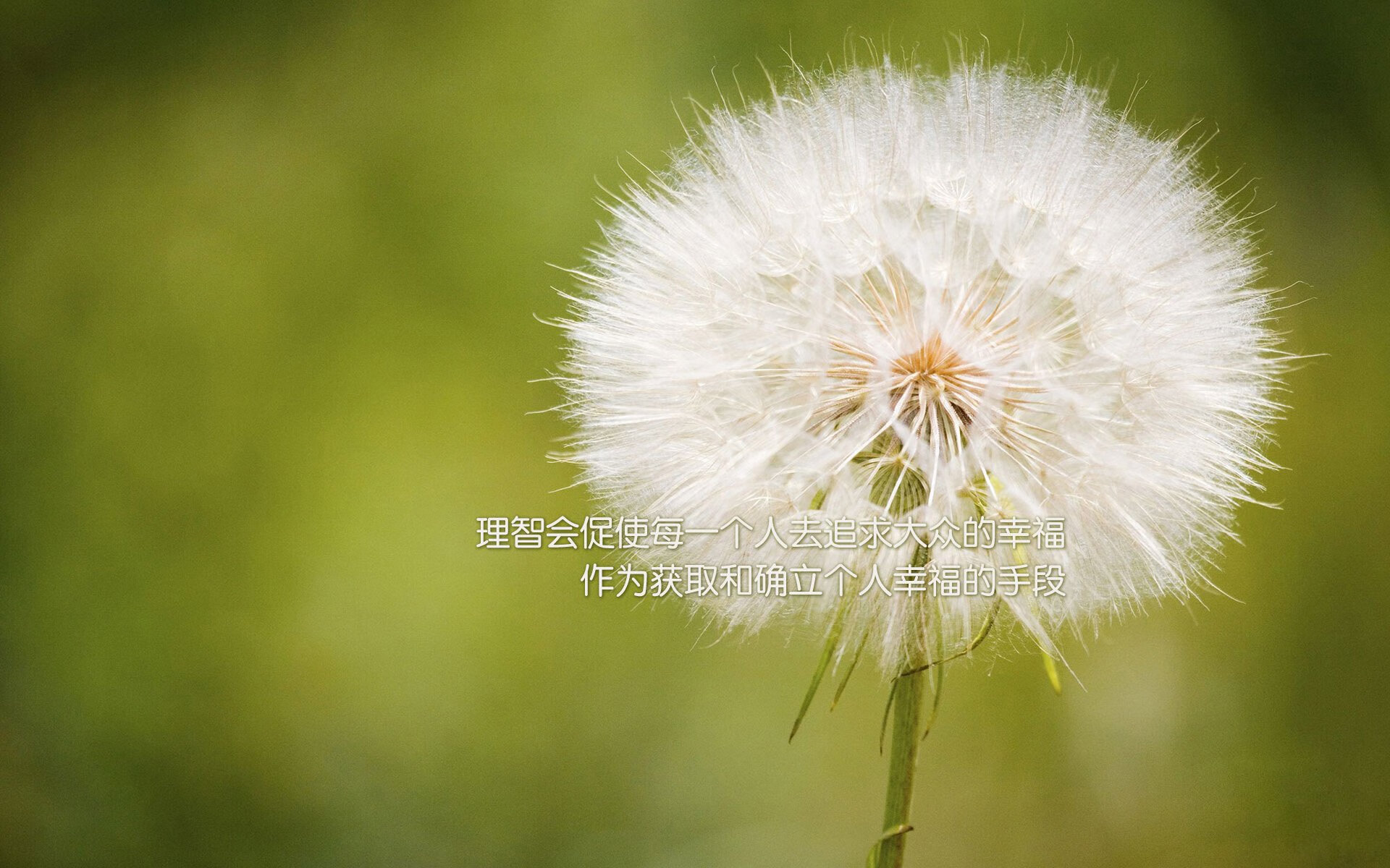 终局之诗，西甲德比与CBA决战中的唯一性时刻