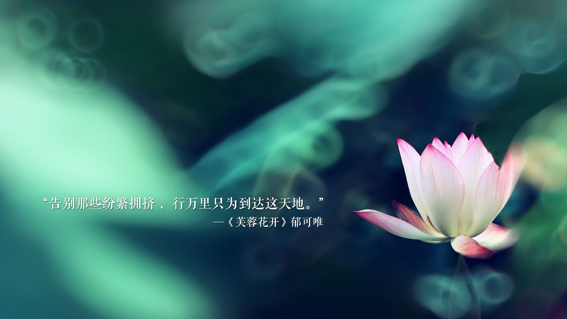 2026生死局，喀麦隆绝杀葡萄牙，坎塞洛的孤勇与宿命