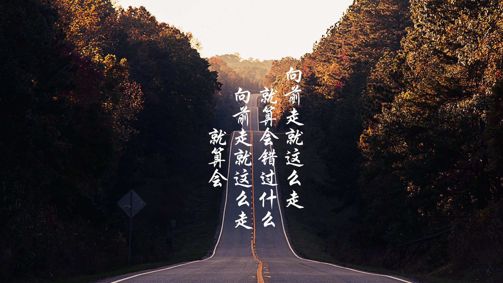 孤星耀世,2026世界杯E组,葡萄牙铁骑碾压波兰,坎塞洛独舞点燃边路烽火