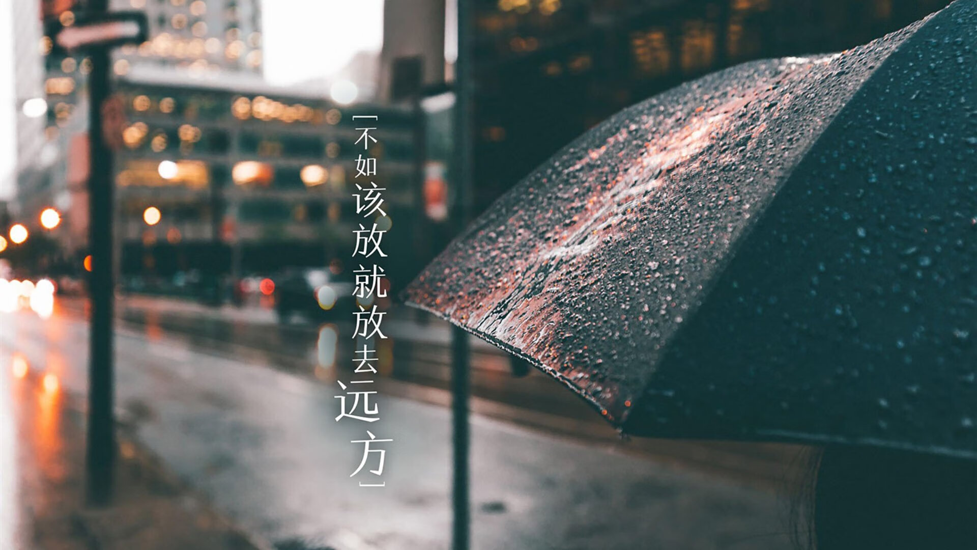 红与黑的铁幕,匈牙利击碎非洲雄狮,德布劳内用一次不可能的传球定义2026世界杯C组最强硬之战