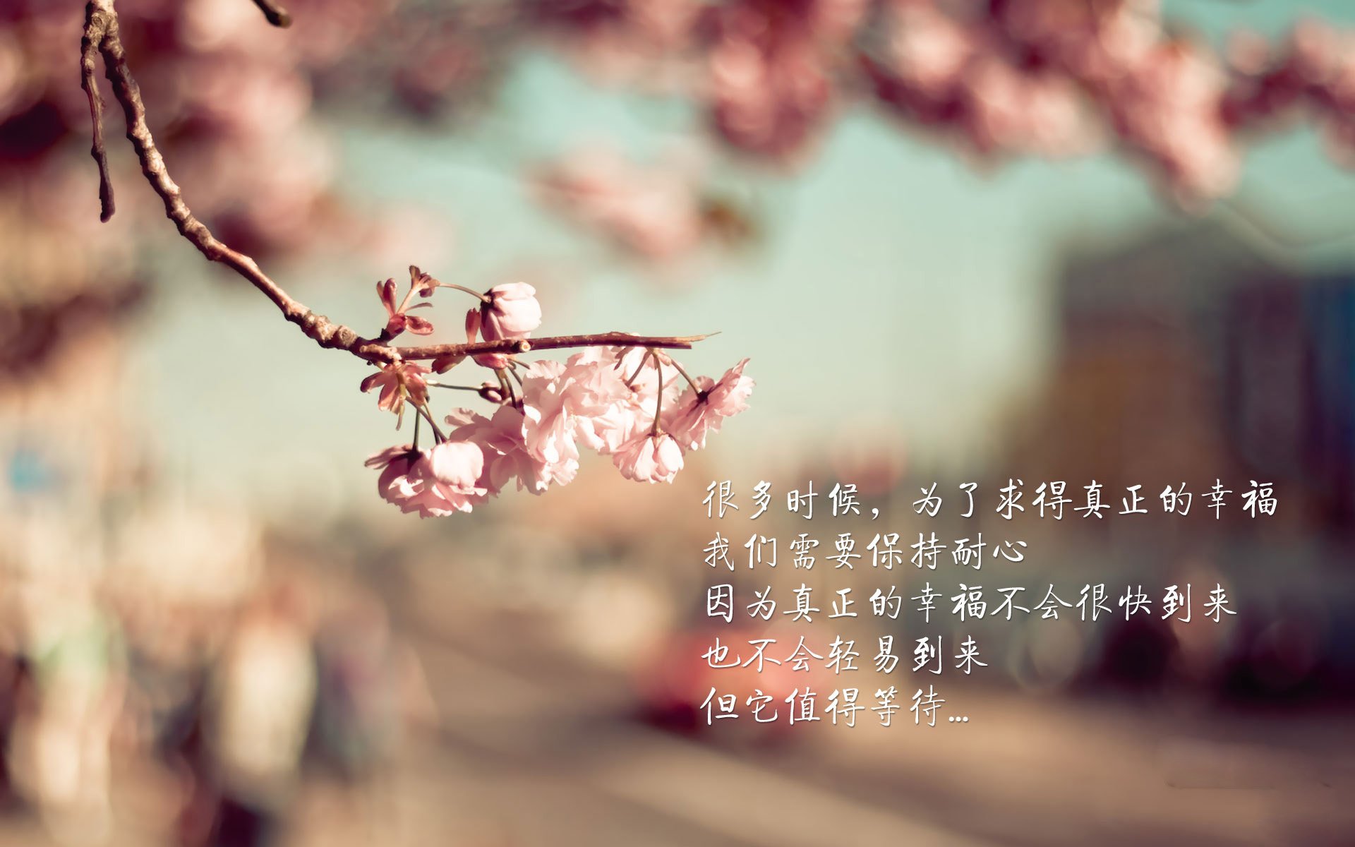 逆转之夜,2026世界杯G组,哈基米点燃挪威奇迹,美国梦碎最后一刻