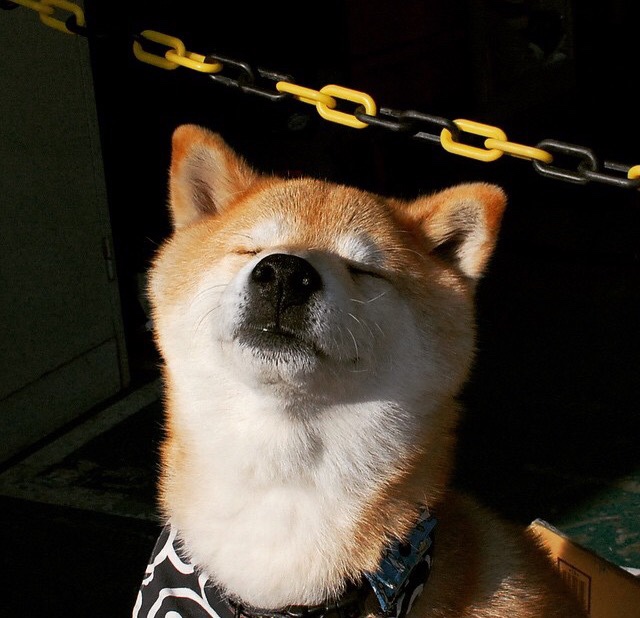 唯一一战，奥斯梅恩的孤勇，哥伦比亚的悬崖之舞